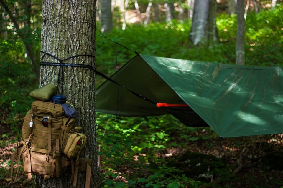 Survival Shelters Using a Tarp: Simple Protection That Can Save Your Life