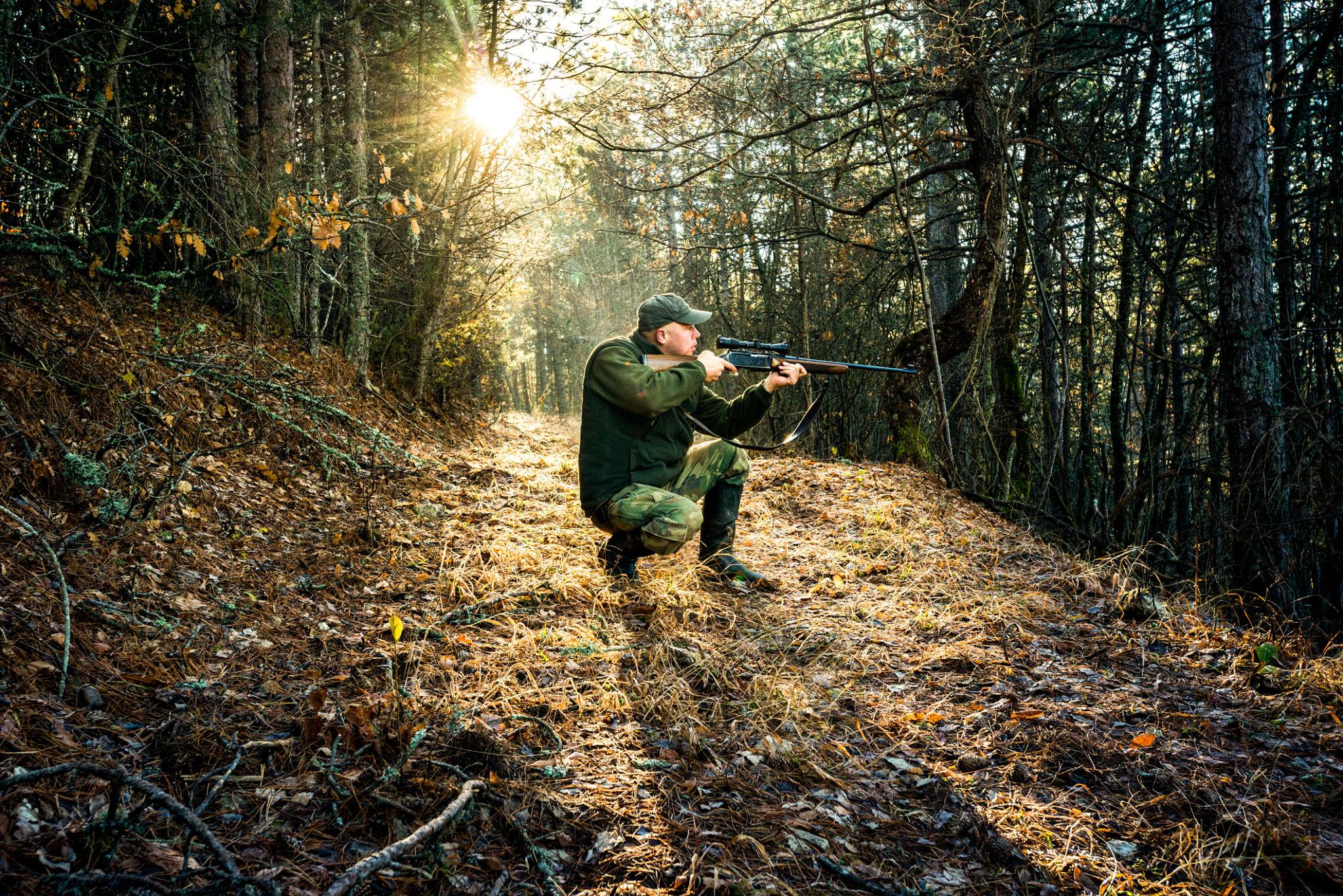 The Best Firearm for Survival: Choosing the Right Tool for Emergencies